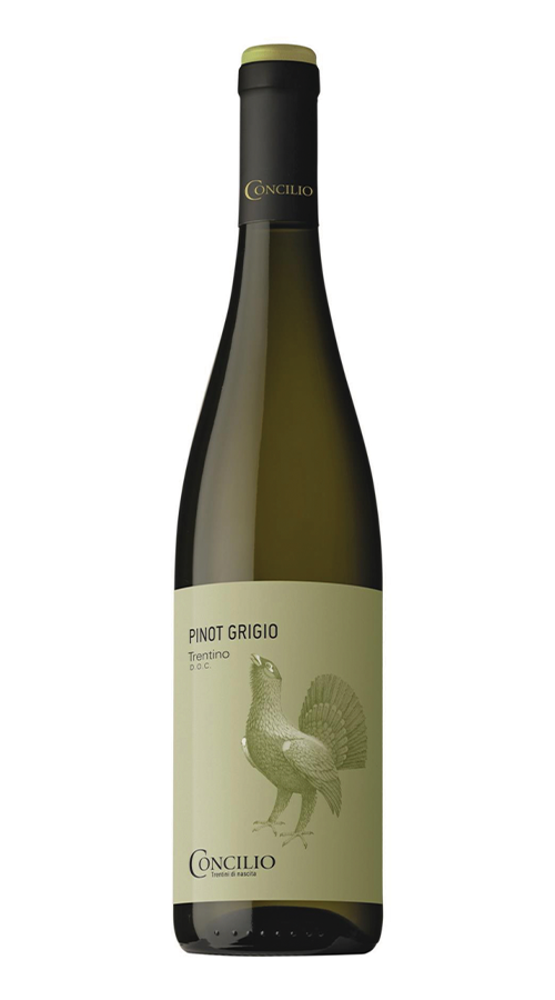 Concilio Pinot Grigio